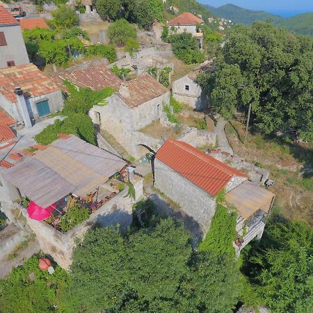 Cottage Melita The Apartment For Animal Lovers Babino Polje Exterior photo