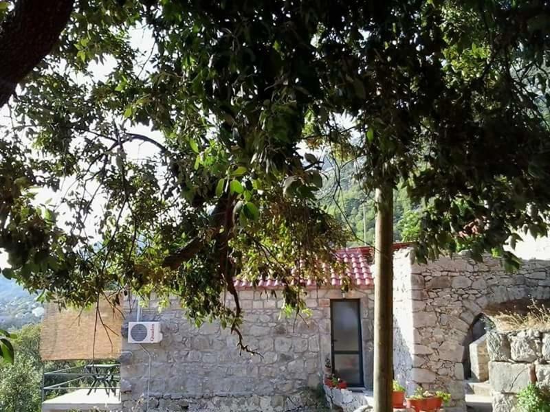 Cottage Melita The Apartment For Animal Lovers Babino Polje Exterior photo