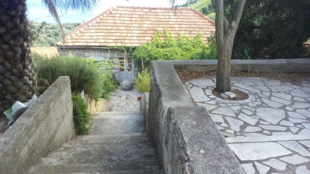 Cottage Melita The Apartment For Animal Lovers Babino Polje Exterior photo