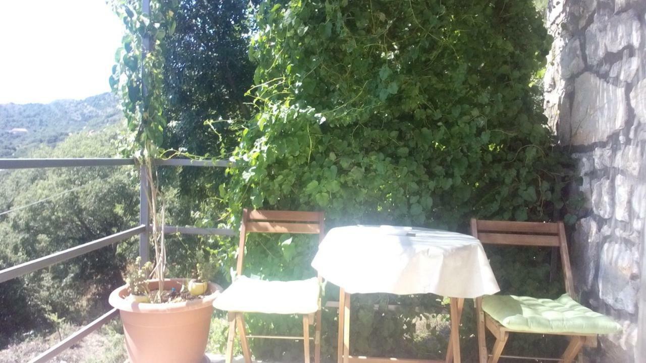 Cottage Melita The Apartment For Animal Lovers Babino Polje Exterior photo