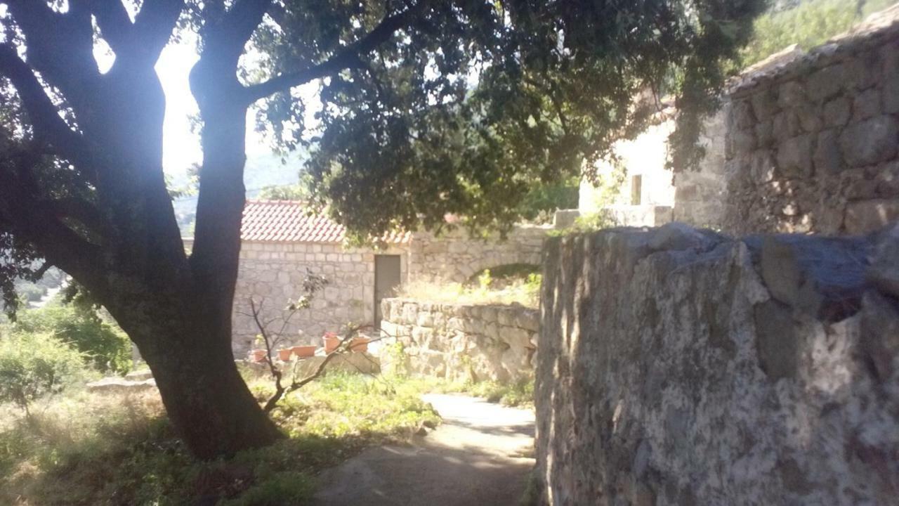 Cottage Melita The Apartment For Animal Lovers Babino Polje Exterior photo