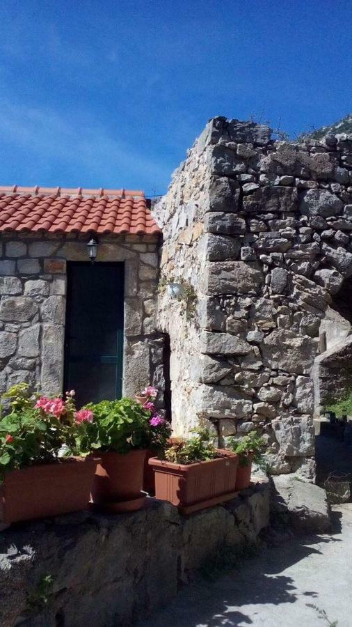 Cottage Melita The Apartment For Animal Lovers Babino Polje Exterior photo