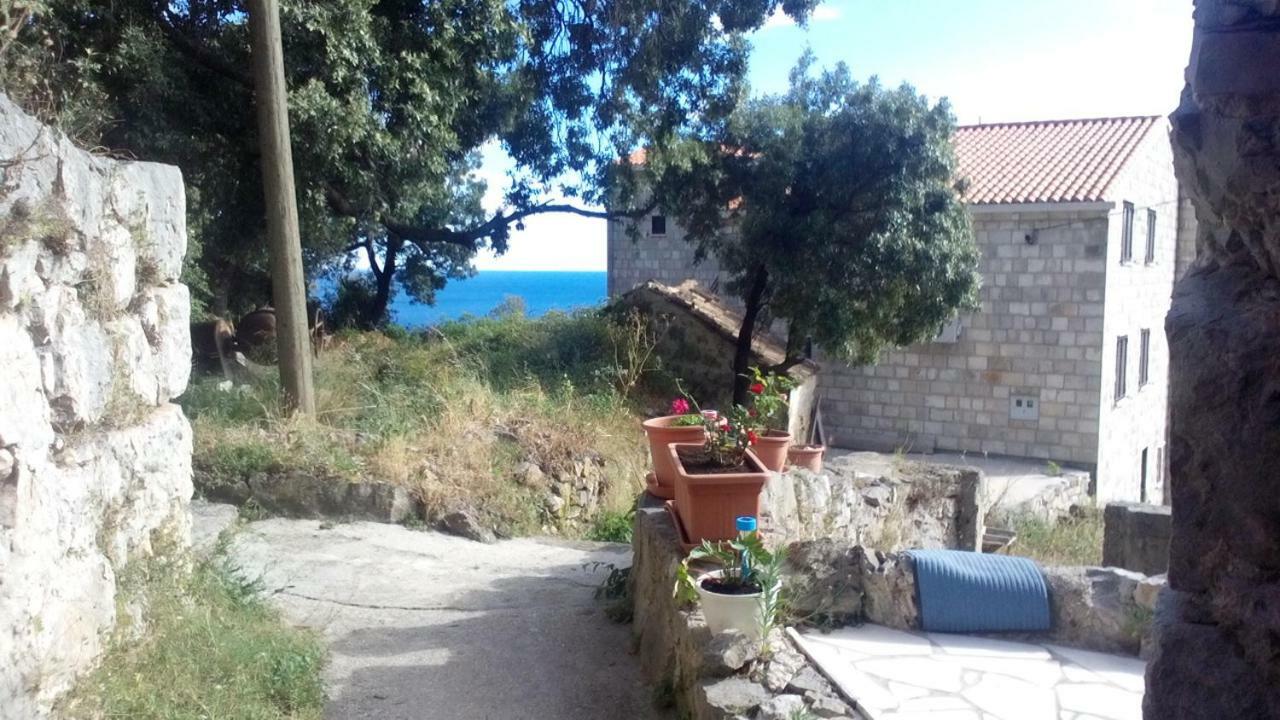 Cottage Melita The Apartment For Animal Lovers Babino Polje Exterior photo