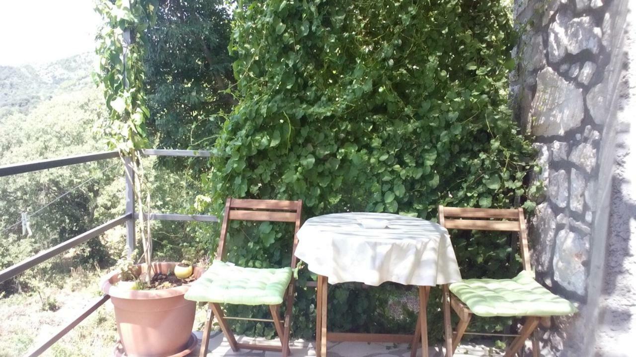Cottage Melita The Apartment For Animal Lovers Babino Polje Exterior photo