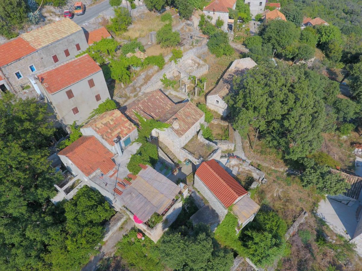 Cottage Melita The Apartment For Animal Lovers Babino Polje Exterior photo